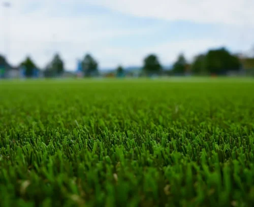 lawn aerate sod bottom beaverton or