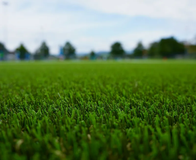 lawn aerate sod bottom beaverton or