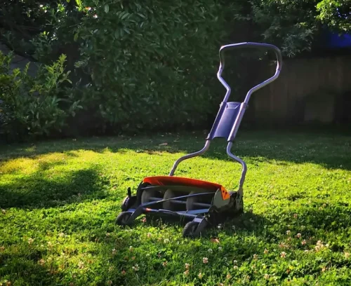 lawn yard maintain bottom beaverton or