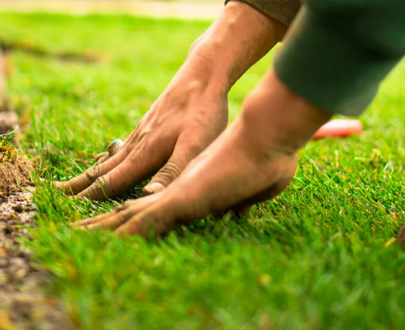 planting services beaverton or